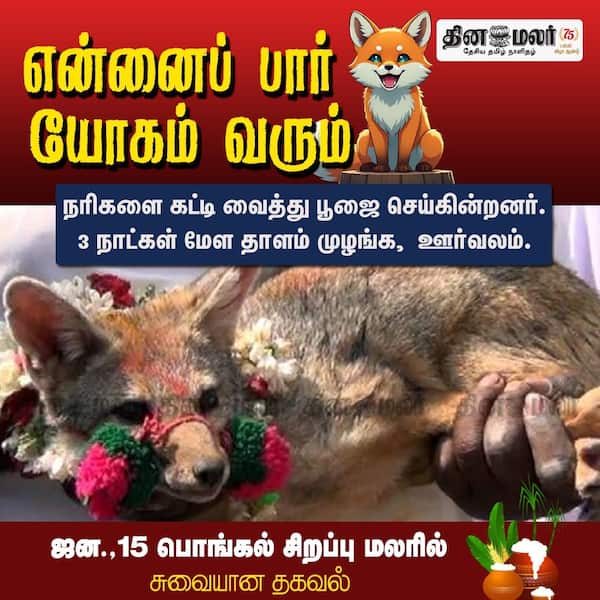 நரி ஜல்லிக்கட்டு 