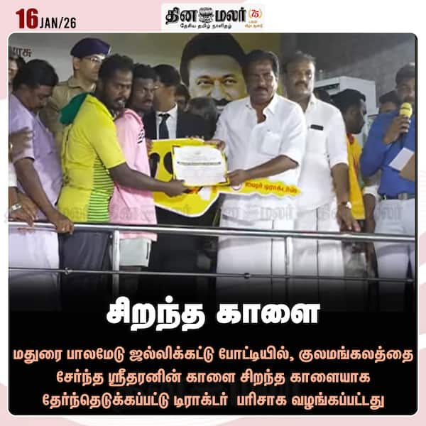 சிறந்த காளை 