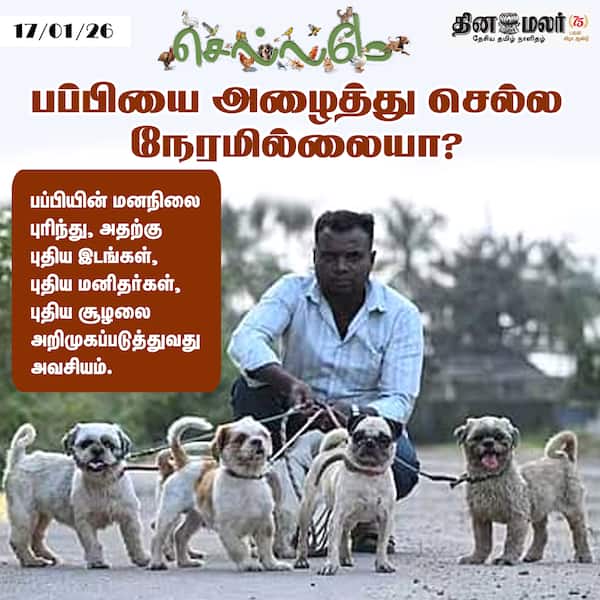 பப்பியை அழைத்து செல்ல நேரமில்லையா ? 