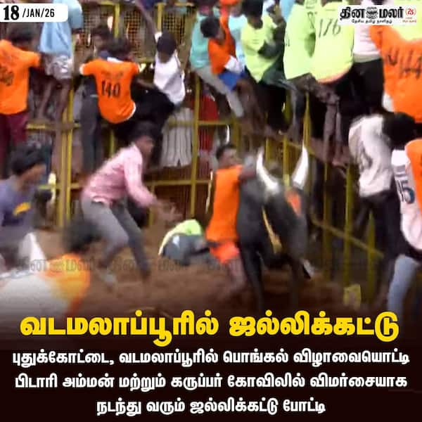 வடமலாப்பூரில் ஜல்லிக்கட்டு 