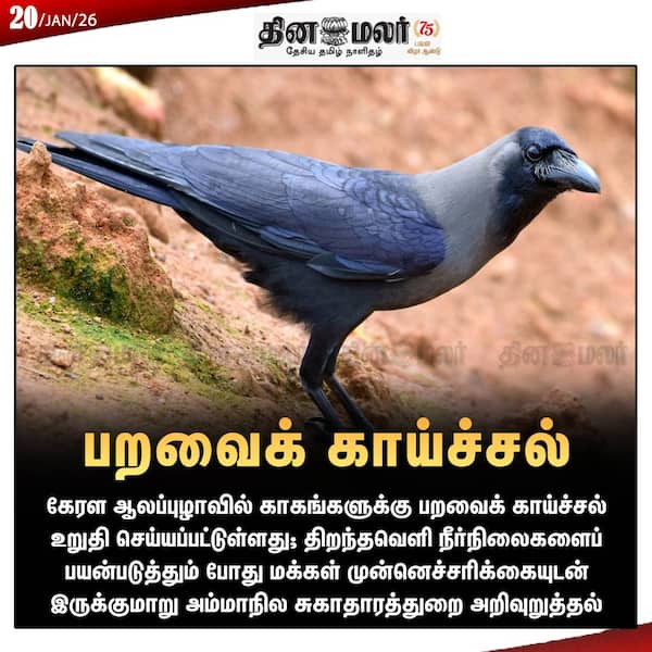 பறவைக் காய்ச்சல் 