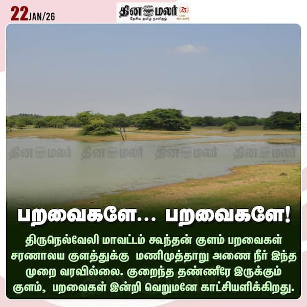 பறவைகளே... பறவைகளே! 