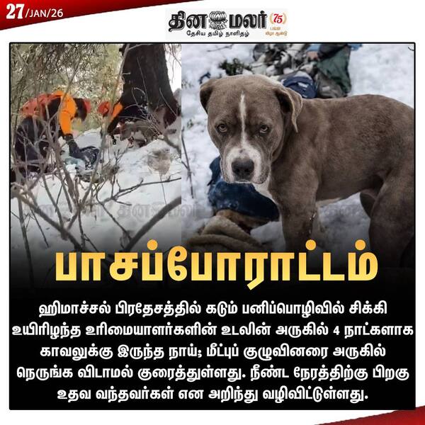  பாசப்போராட்டம் 