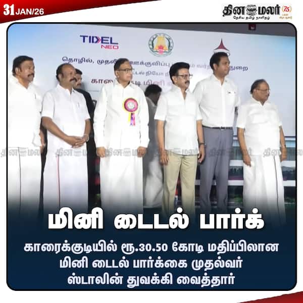 மினி டைடல் பார்க் 