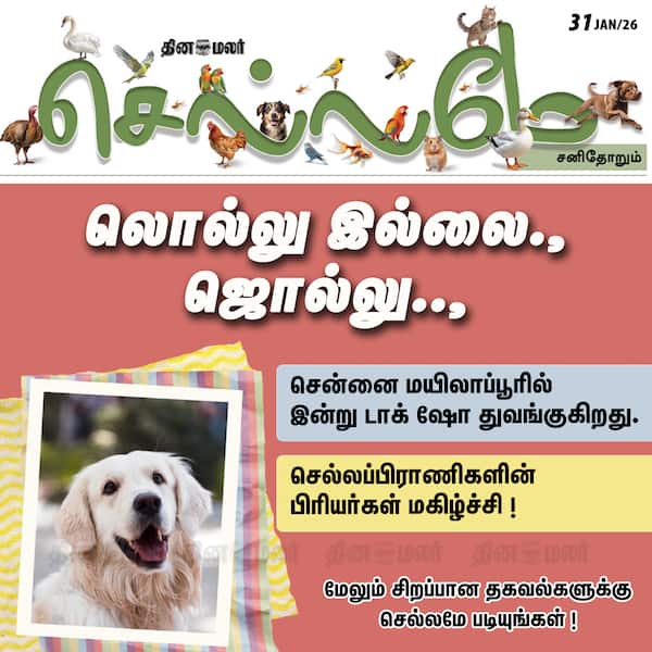 லொல்லு இல்லை. ஜொல்லு..