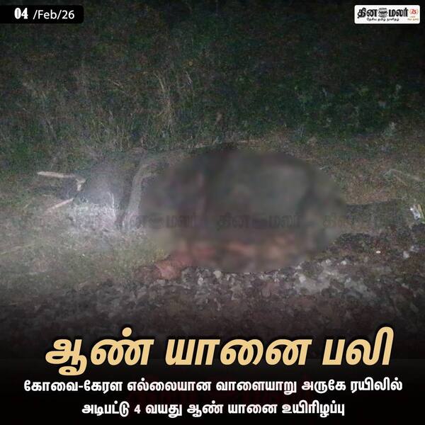 ஆண் யானை பலி #