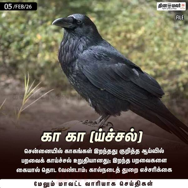 கா கா (ய்ச்சல்) 