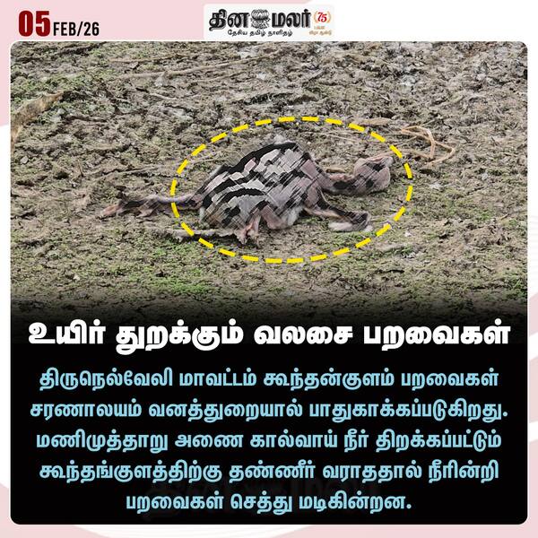 உயிர் துறக்கும் வலசை பறவைகள் 