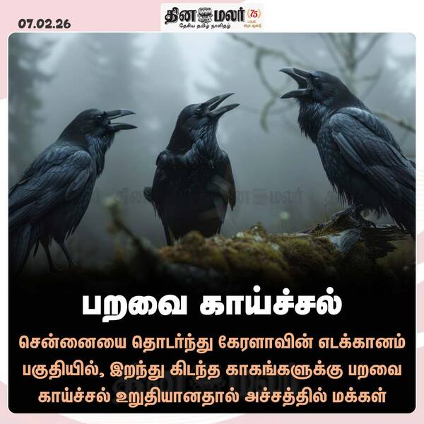 பறவை காய்ச்சல் 