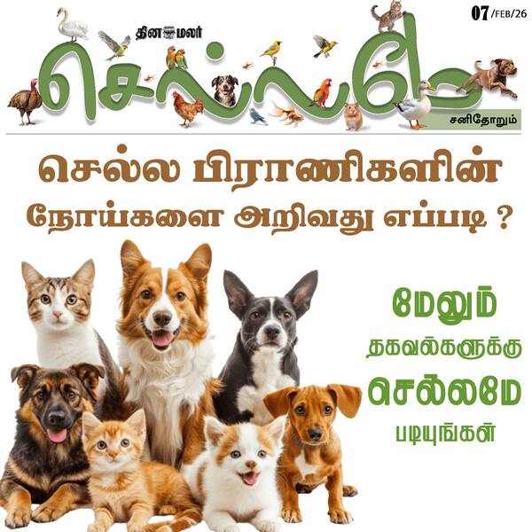 செல்ல பிராணிகளின் நோய்களை அறிவது எப்படி ? 