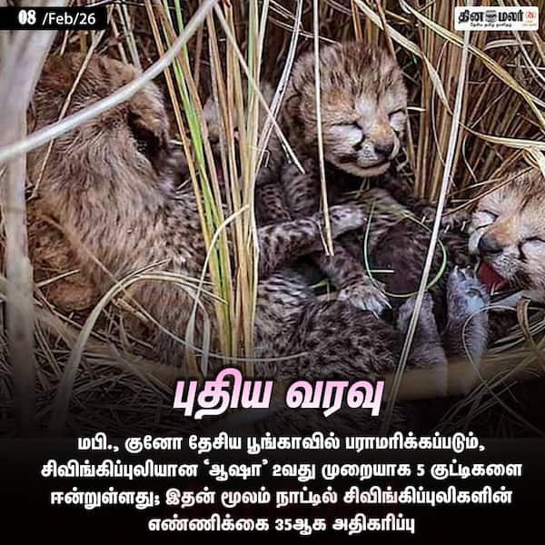 புதிய வரவு 