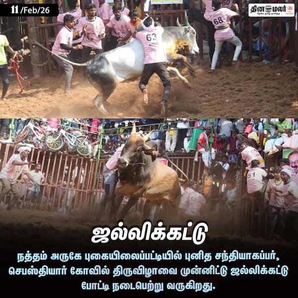 ஜல்லிக்கட்டு 