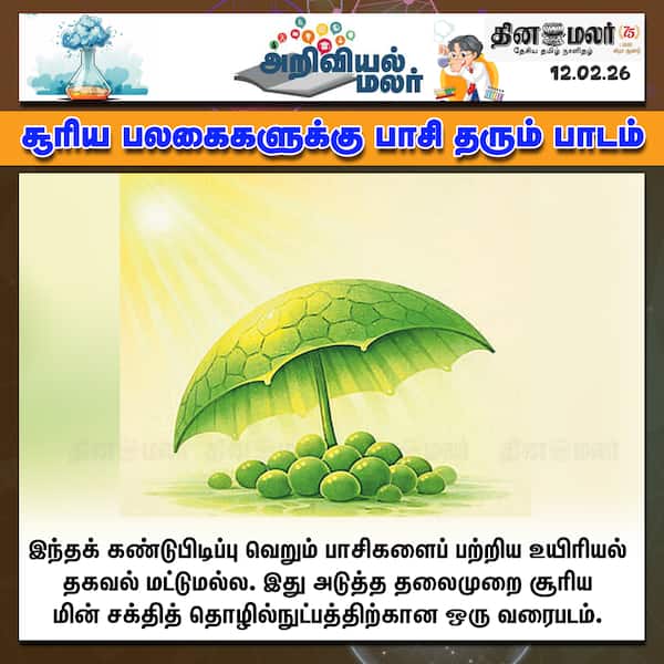 சூரிய பலகைகளுக்கு பாசி தரும் பாடம் 