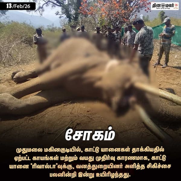 சோகம் 