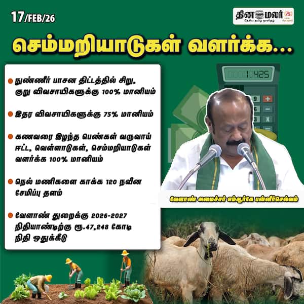 செம்மறியாடுகள் வளர்க்க... 