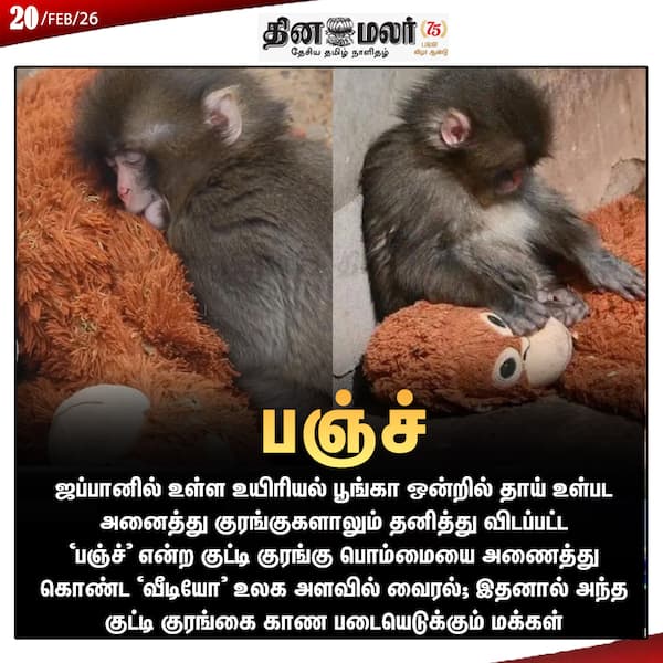 பஞ்ச் 