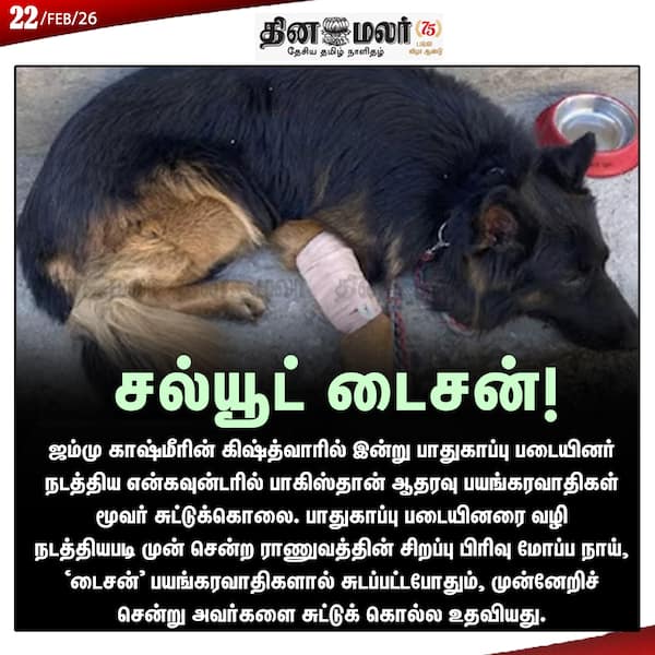 சல்யூட் டைசன்!