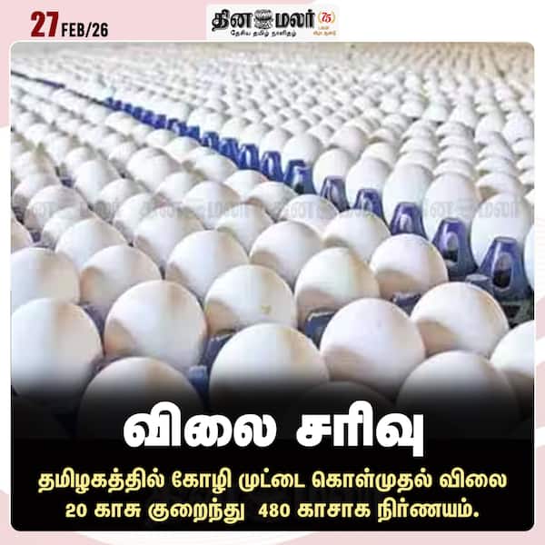  விலை சரிவு 