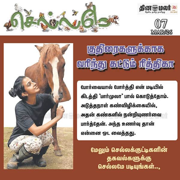 வளர்ப்பு பிராணிகளின் வழிகாட்டி 