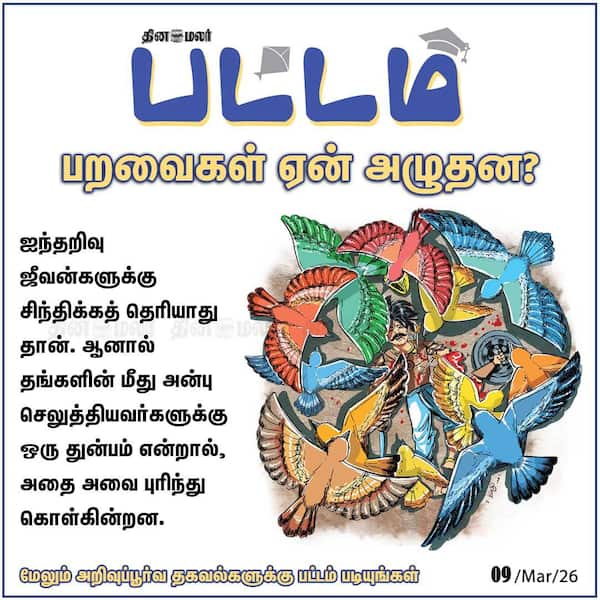 பறவைகள் ஏன் அழுதன? பட்டம் படியுங்கள்…. 