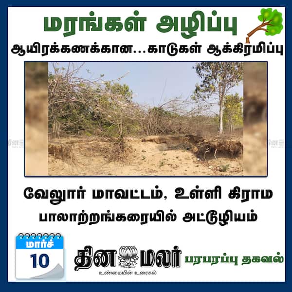 மரங்கள் அழிப்பு 