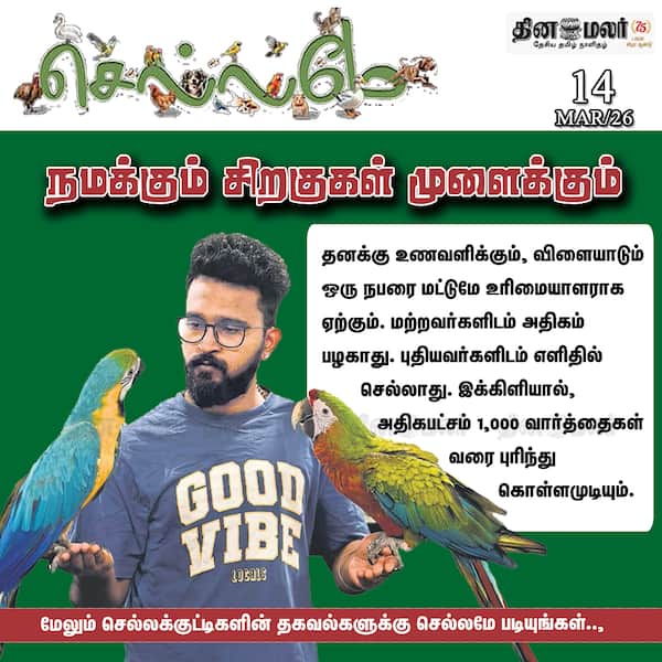 நமக்கும் சிறகுகள் முளைக்கும் 