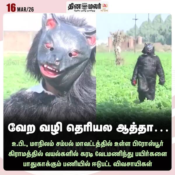 வேற வழி தெரியல ஆத்தா… 