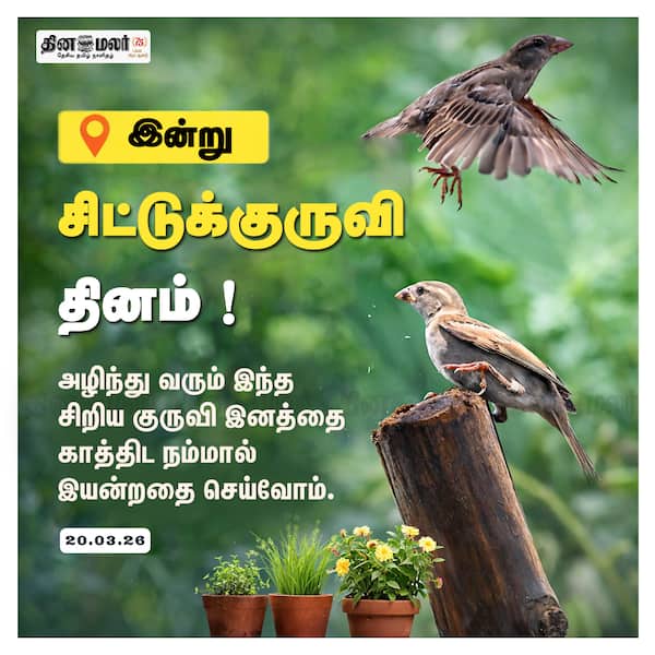 இன்று சிட்டுக்குருவி தினம்! 