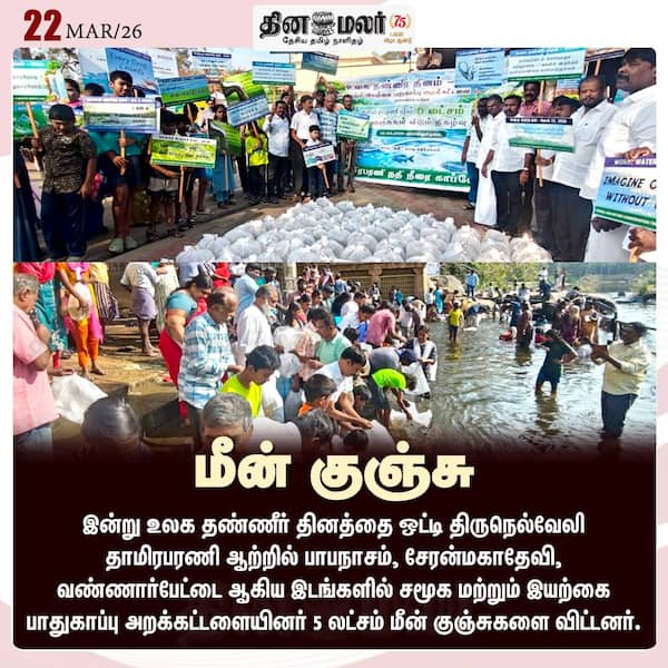 மீன் குஞ்சு 