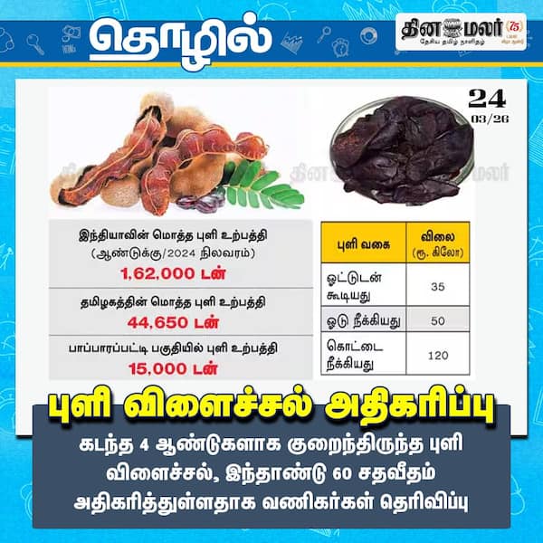 புளி விளைச்சல் அதிகரிப்பு 