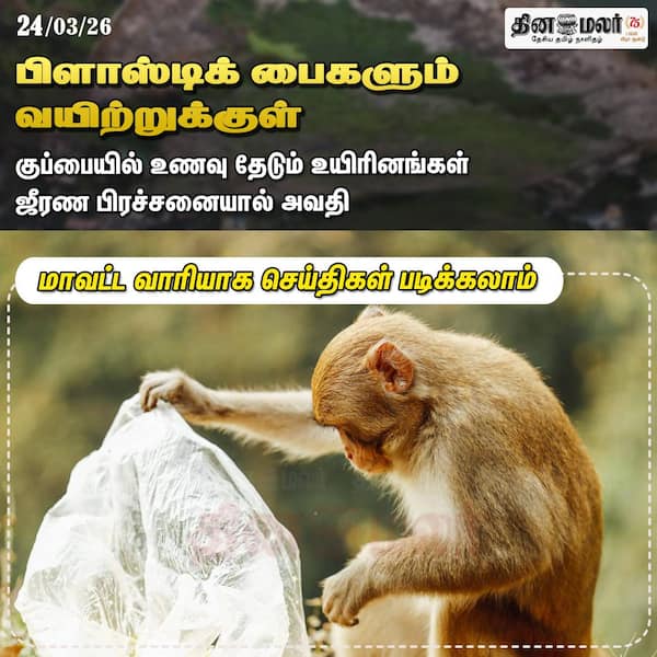 பிளாஸ்டிக் பைகளும் வயிற்றுக்குள் 