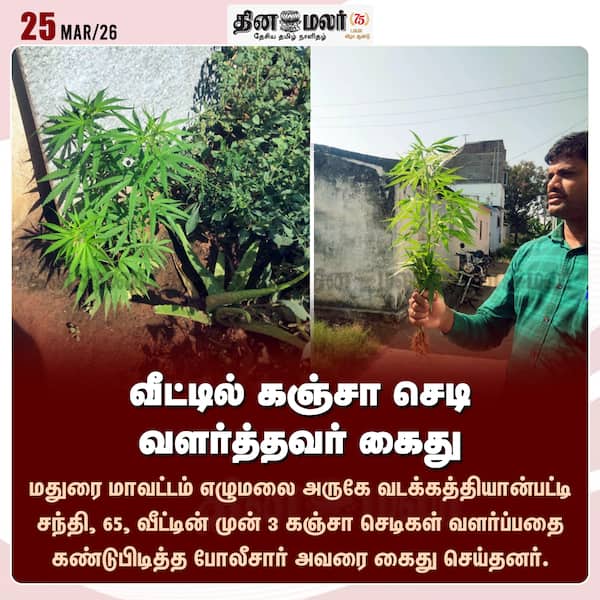 வீட்டில் கஞ்சா செடி வளர்த்தவர் கைது 