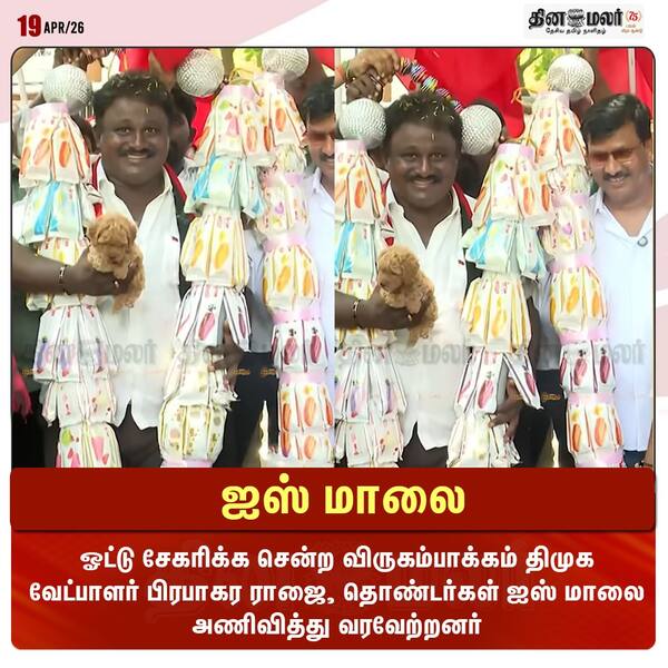ஐஸ் மாலை 