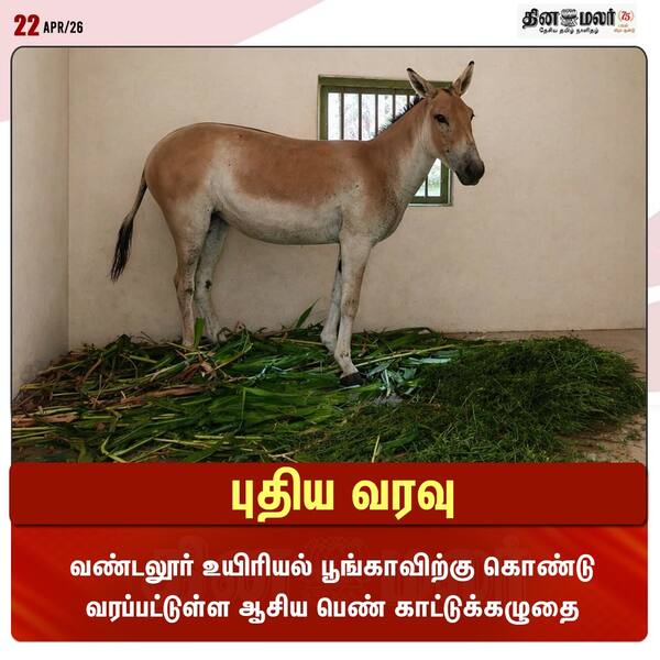 புதிய வரவு 