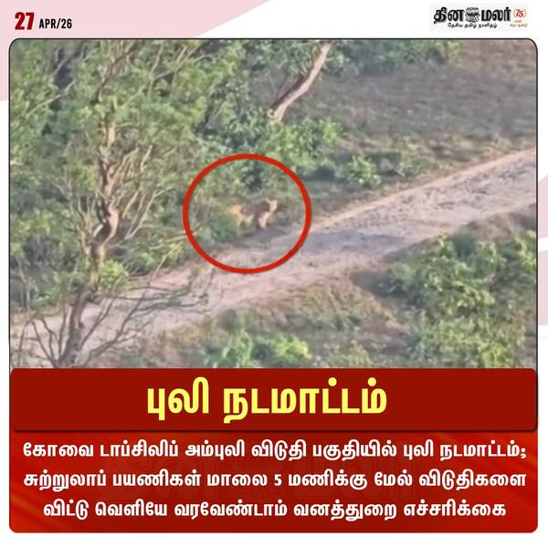 புலி நடமாட்டம் 
