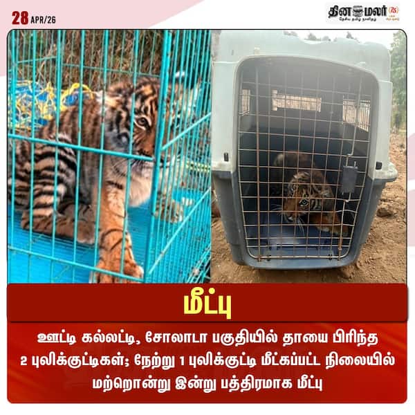  மீட்பு 