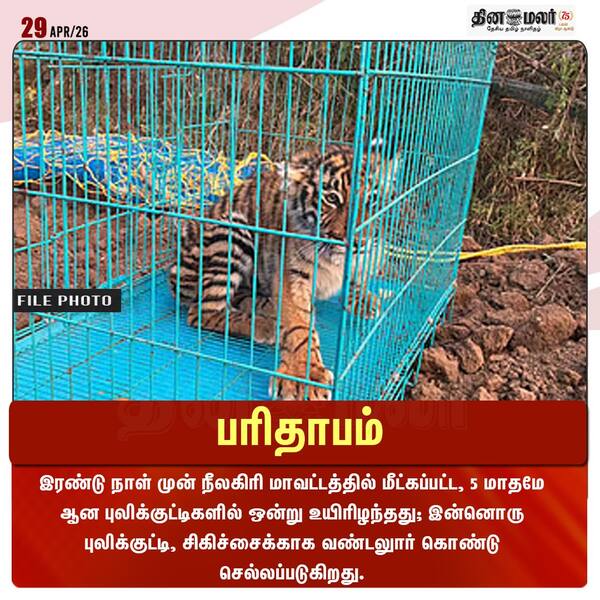 பரிதாபம் 