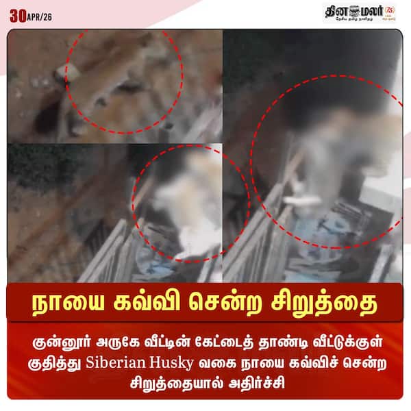 நாயை கவ்வி சென்ற சிறுத்தை 