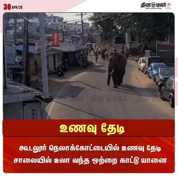 உணவு தேடி 