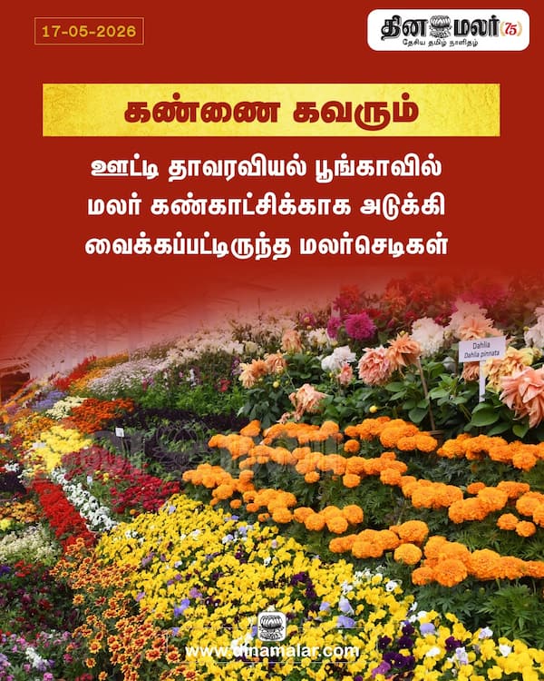 கண்ணை கவரும் 