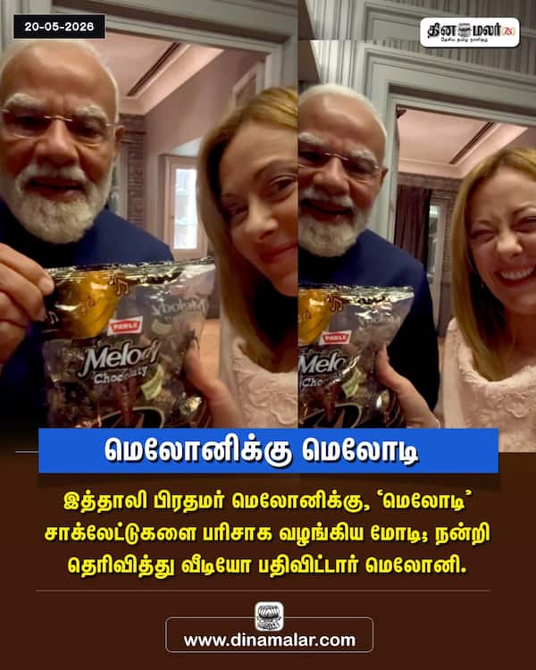 மெலோனிக்கு மெலோடி 