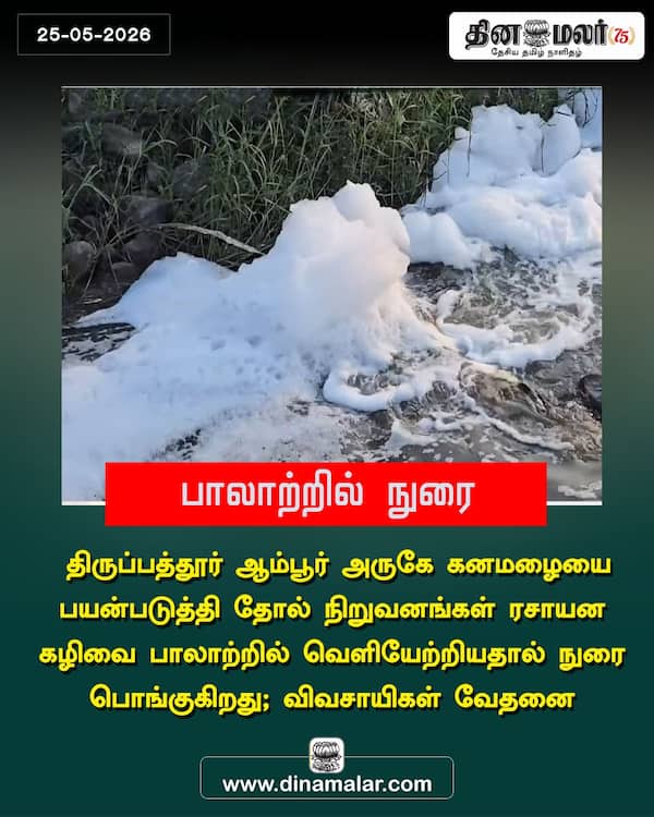 பாலாற்றில் நுரை 
