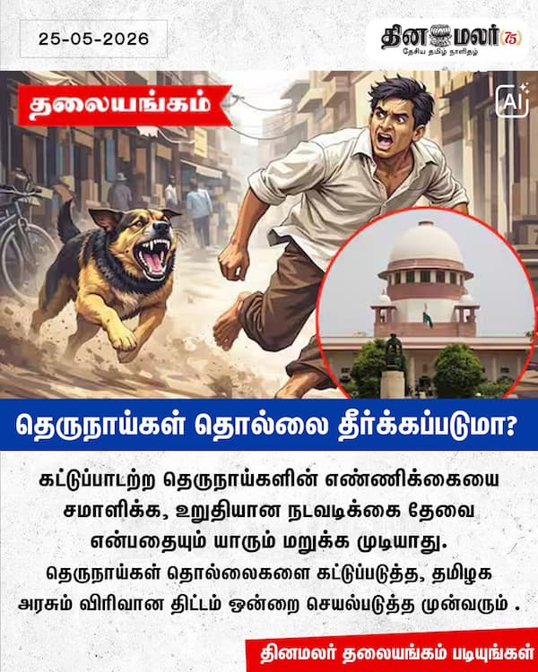 தெருநாய்கள் தொல்லை தீர்க்கப்படுமா? 