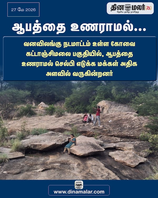 ஆபத்தை உணராமல்... 