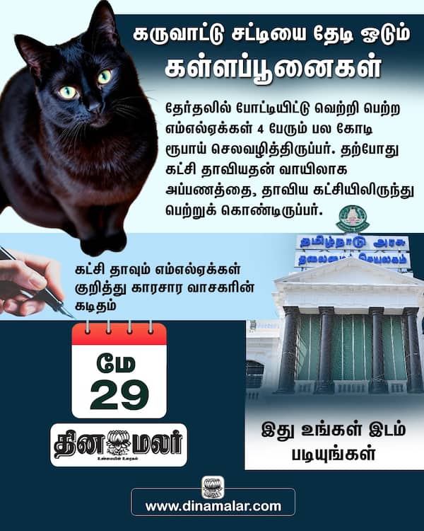 கள்ளப்பூனைகள் 