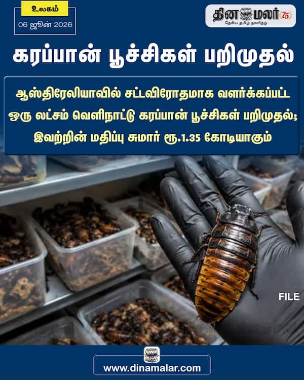 கரப்பான் பூச்சிகள் பறிமுதல்
