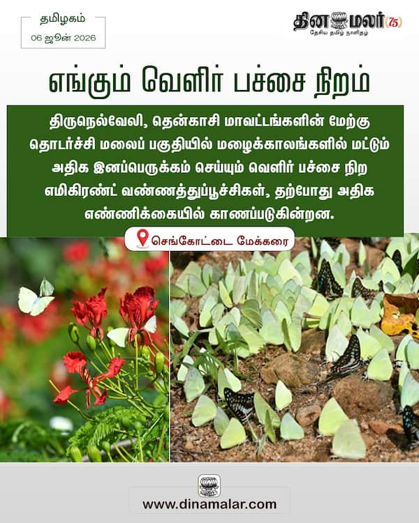 எங்கும் வெளிர் பச்சை நிறம் 