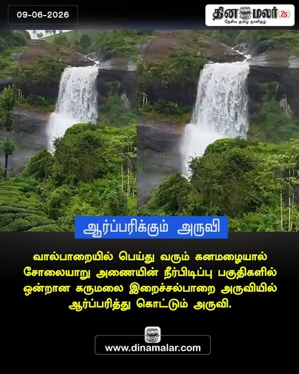 ஆர்ப்பரிக்கும் அருவி 
