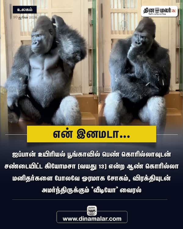 என் இனமடா... 