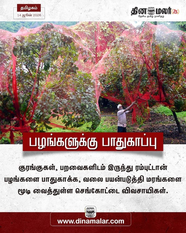 பழங்களுக்கு பாதுகாப்பு 